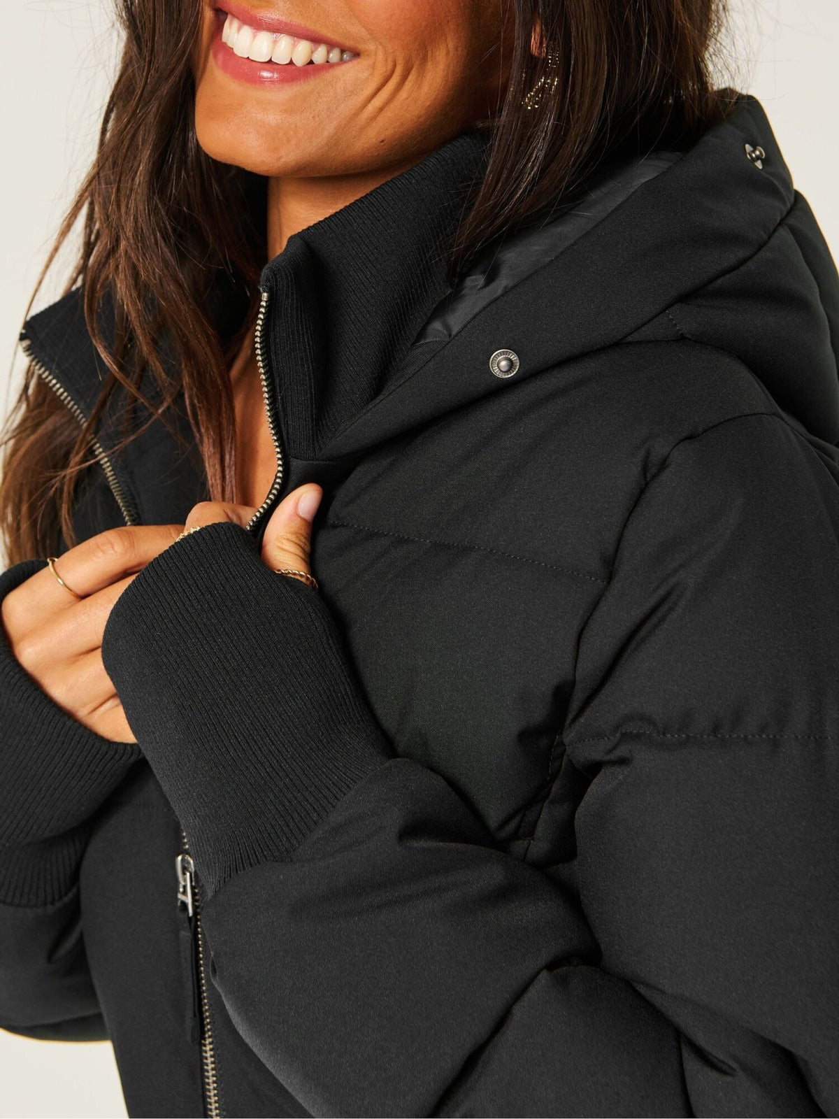 Arctic Puffer